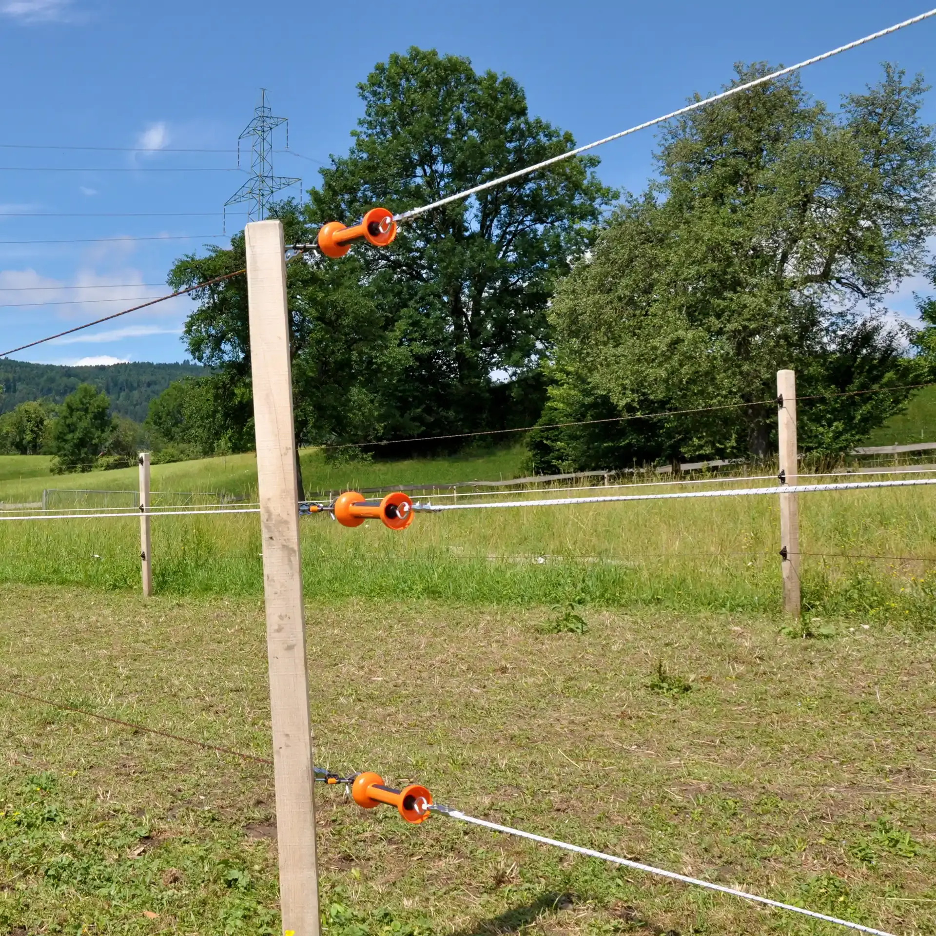 Poortgreepanker Premium Screw-in