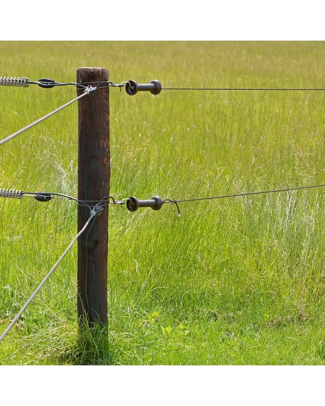 Poortgreepanker Premium Screw-in