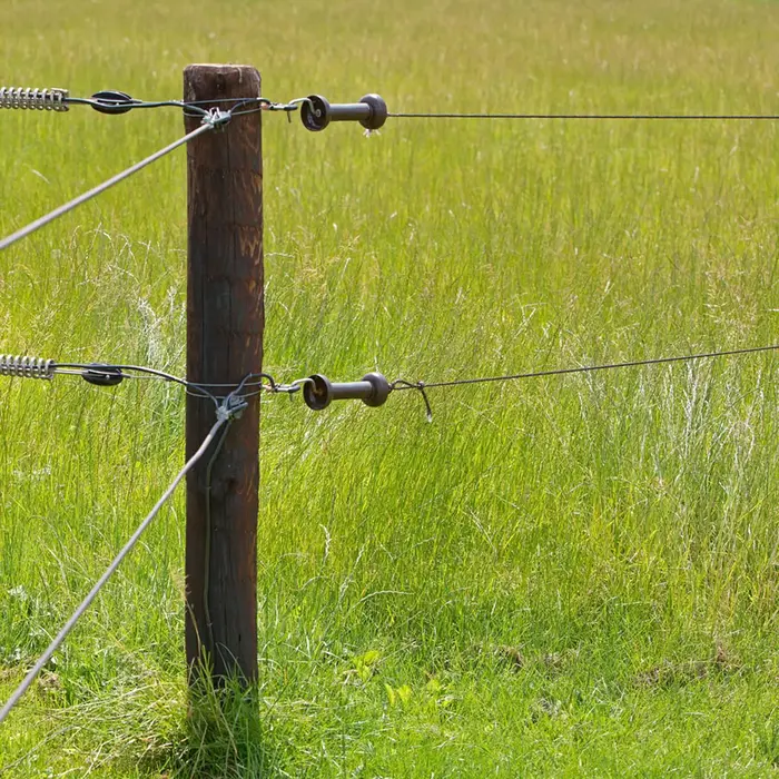 Poortgreepanker Premium Screw-in