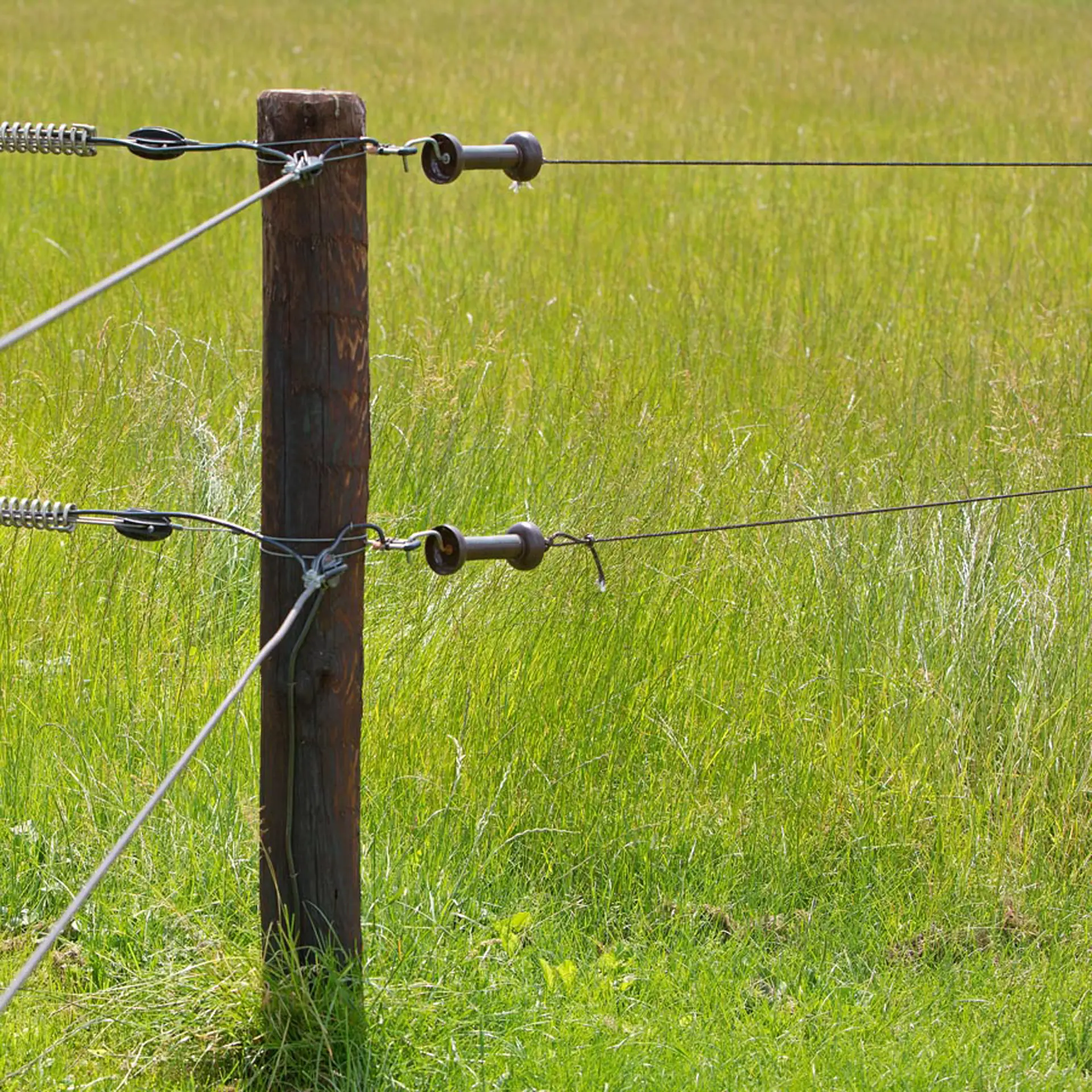 Poortgreepanker Premium Screw-in