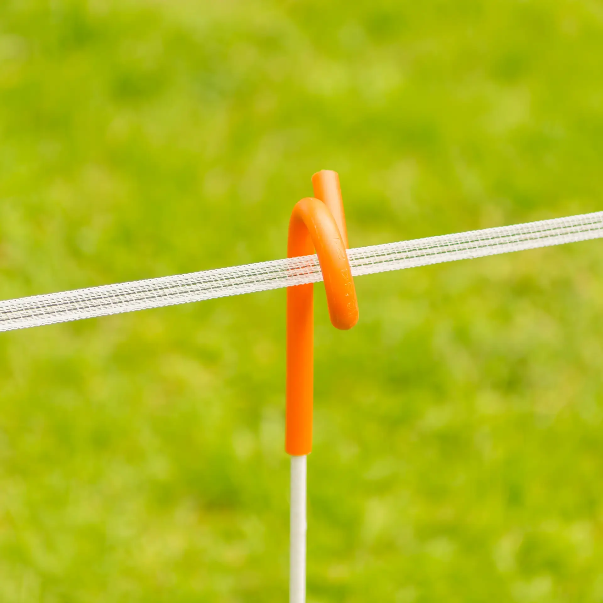 Gallagher PowerLine lint 12,5 mm (wit, 200 meter)