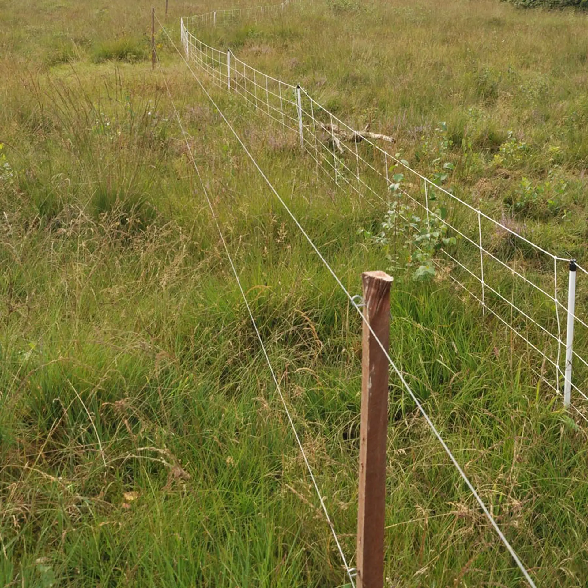 Bevestigingsdraadje Kort Insultimber/Ecopaal