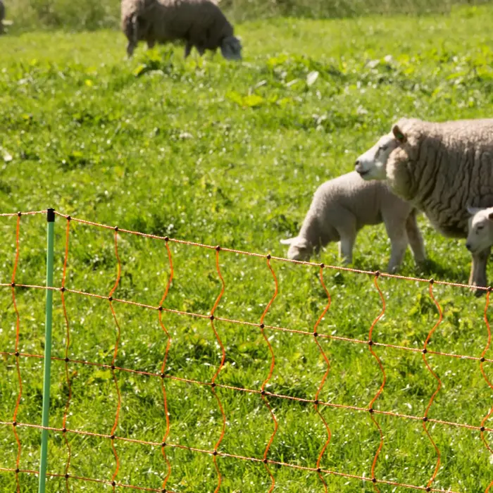 Gallagher Schapennet, 90cm, 50m (dubbele pen)