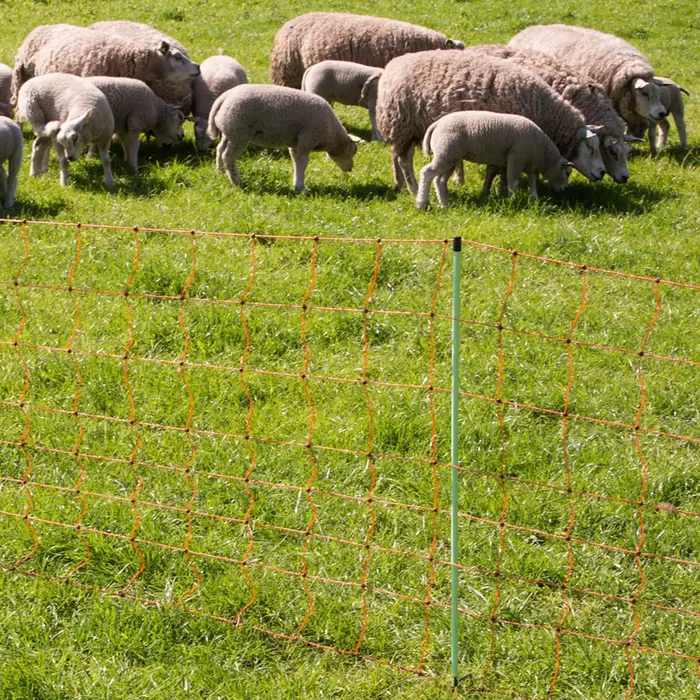 Gallagher Schapennet, 90cm, 50m (enkele pen)