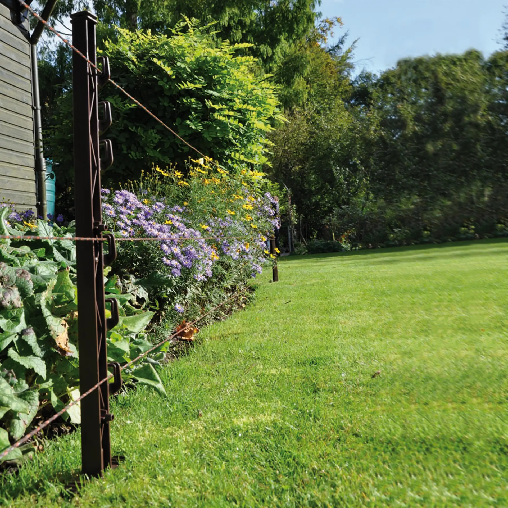 Gallagher Hobbypaal (terra, 10 stuks)