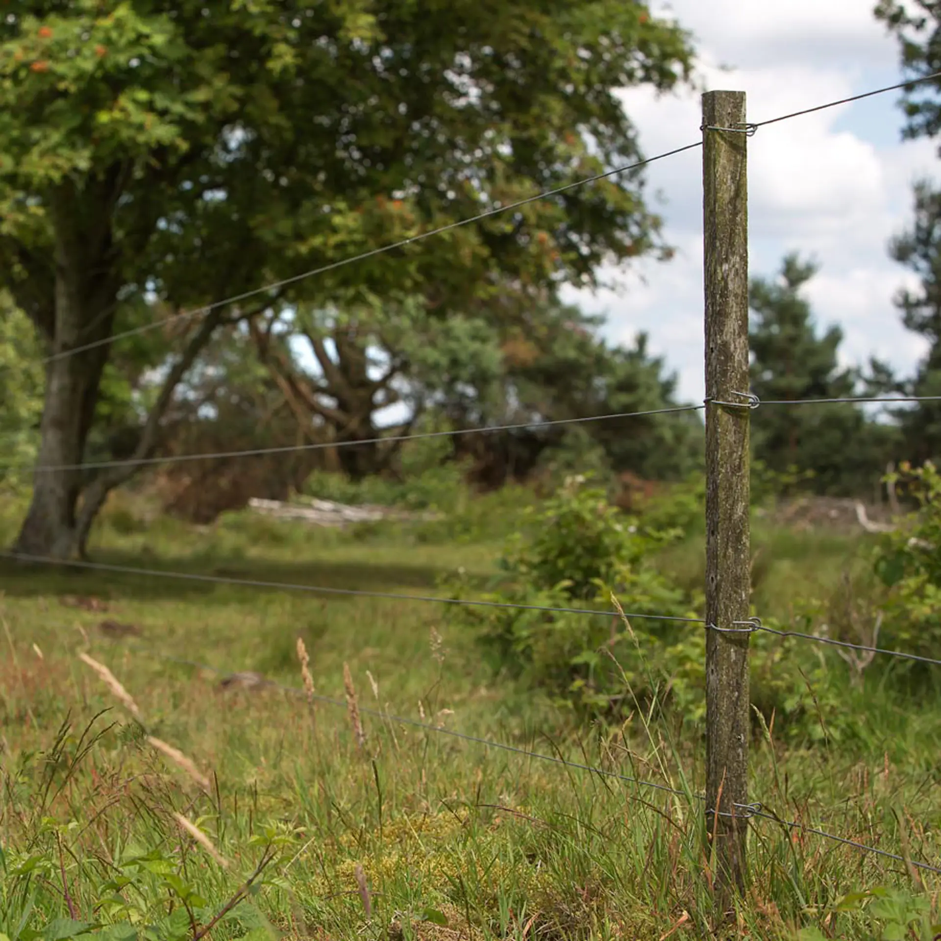 Bevestigingsdraadje Lang Insultimber/Ecopaal