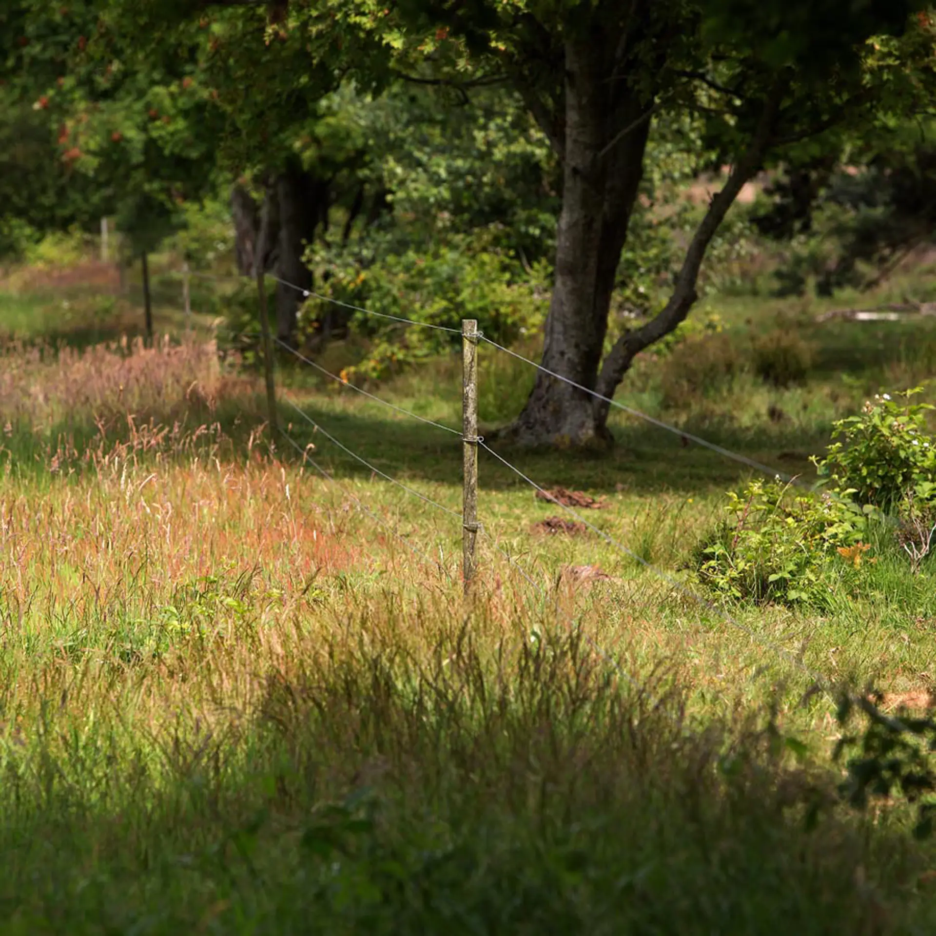 Bevestigingsdraadje Lang Insultimber/Ecopaal
