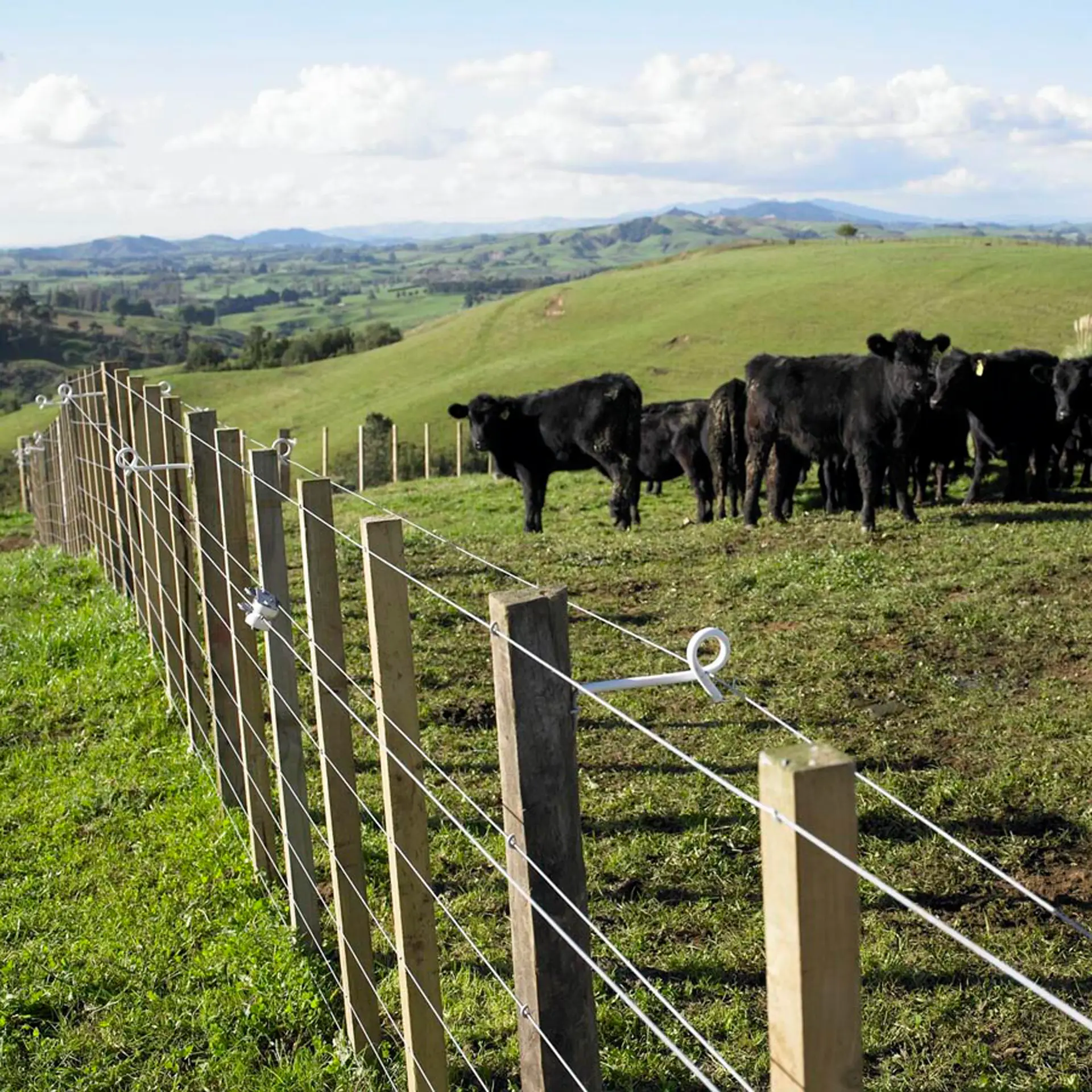 Gallagher Afstandisolator krulstaart (wit, 17,5cm, 10 stuks)