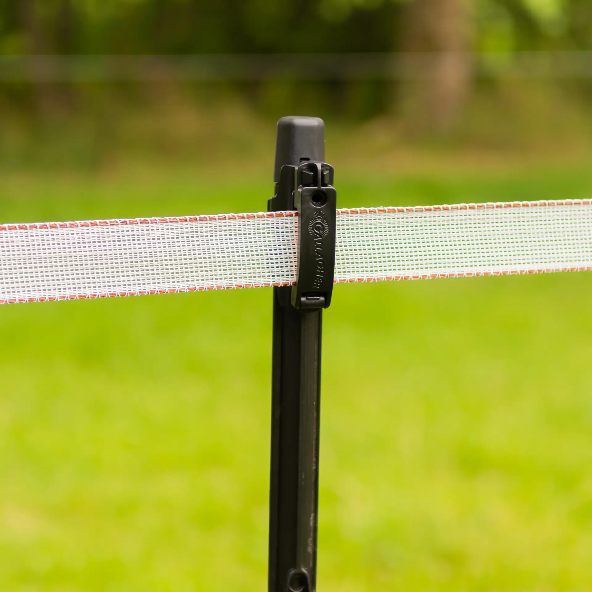 Gallagher TurboStar lint 40 mm (wit, 200 meter)