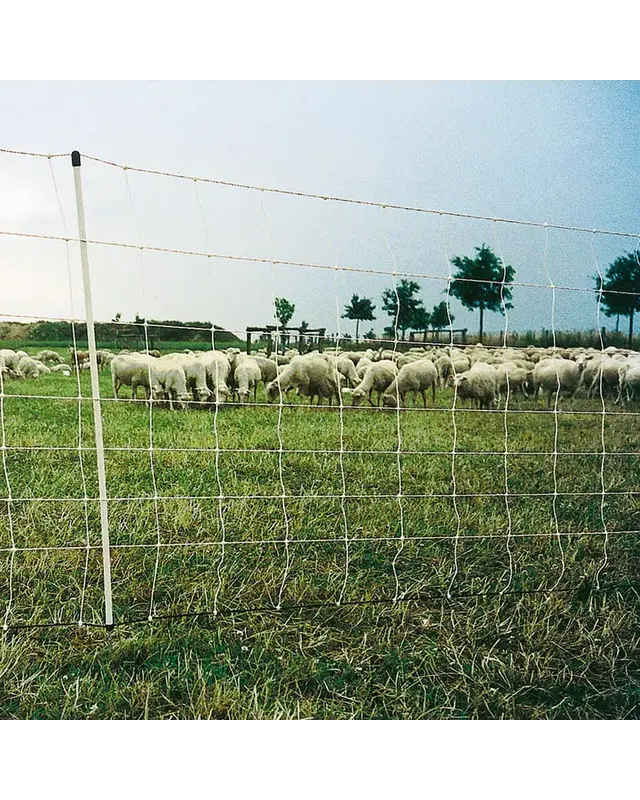 Schapen Turbonet