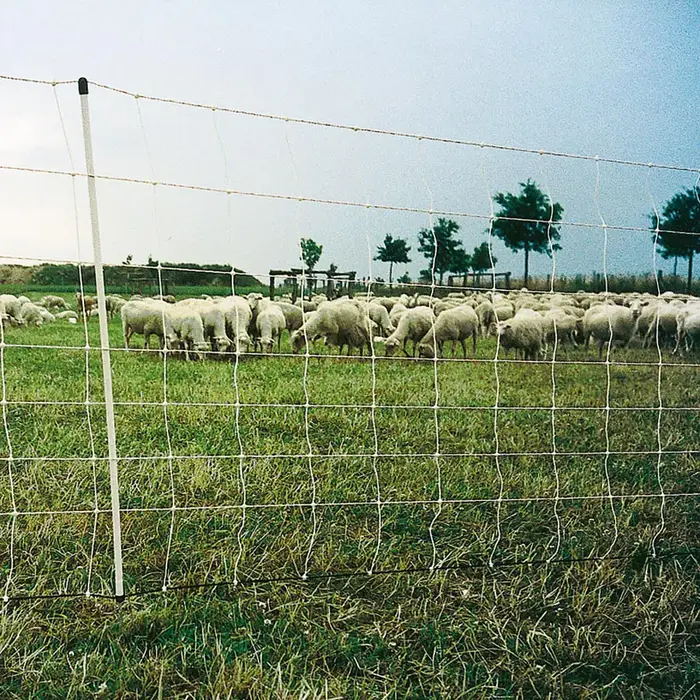 Schapen Turbonet