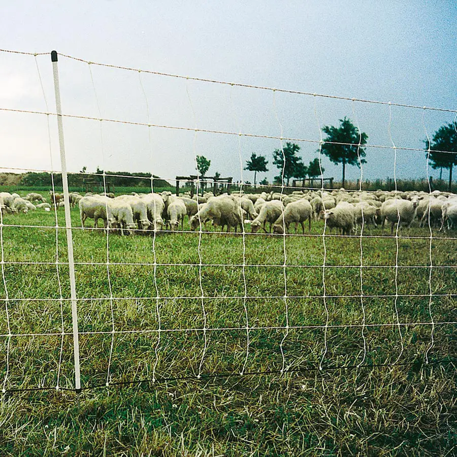 Schapen Turbonet