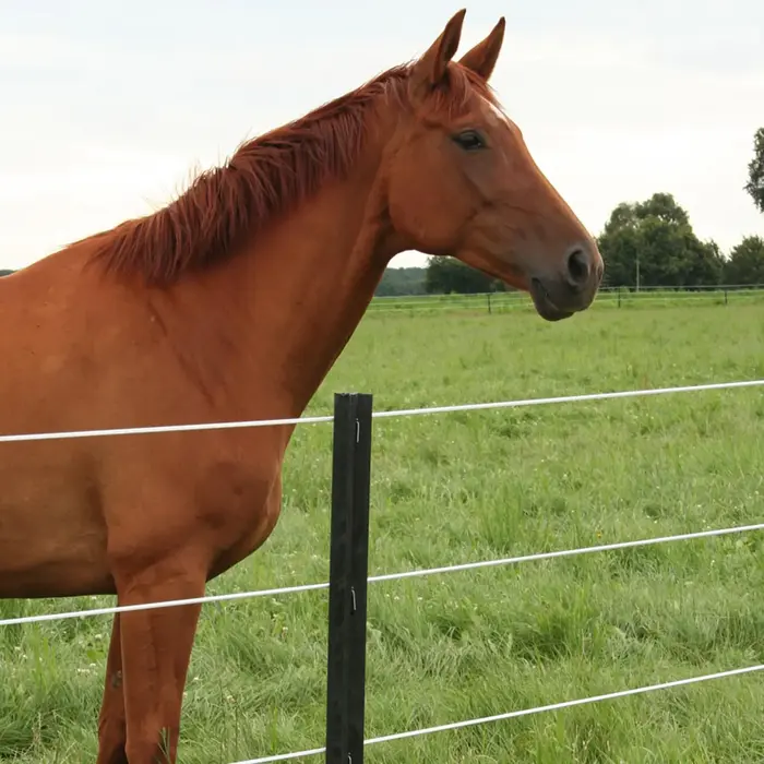 Gallagher Ecopaal 1,50m (4 stuks)