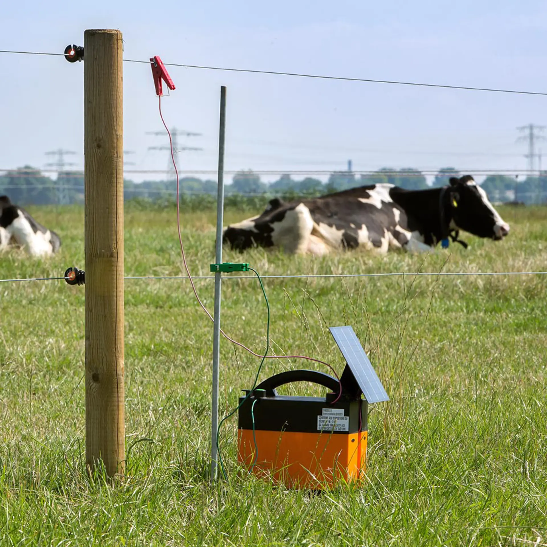Gallagher Aardpen (1 meter, zonder aardklem)