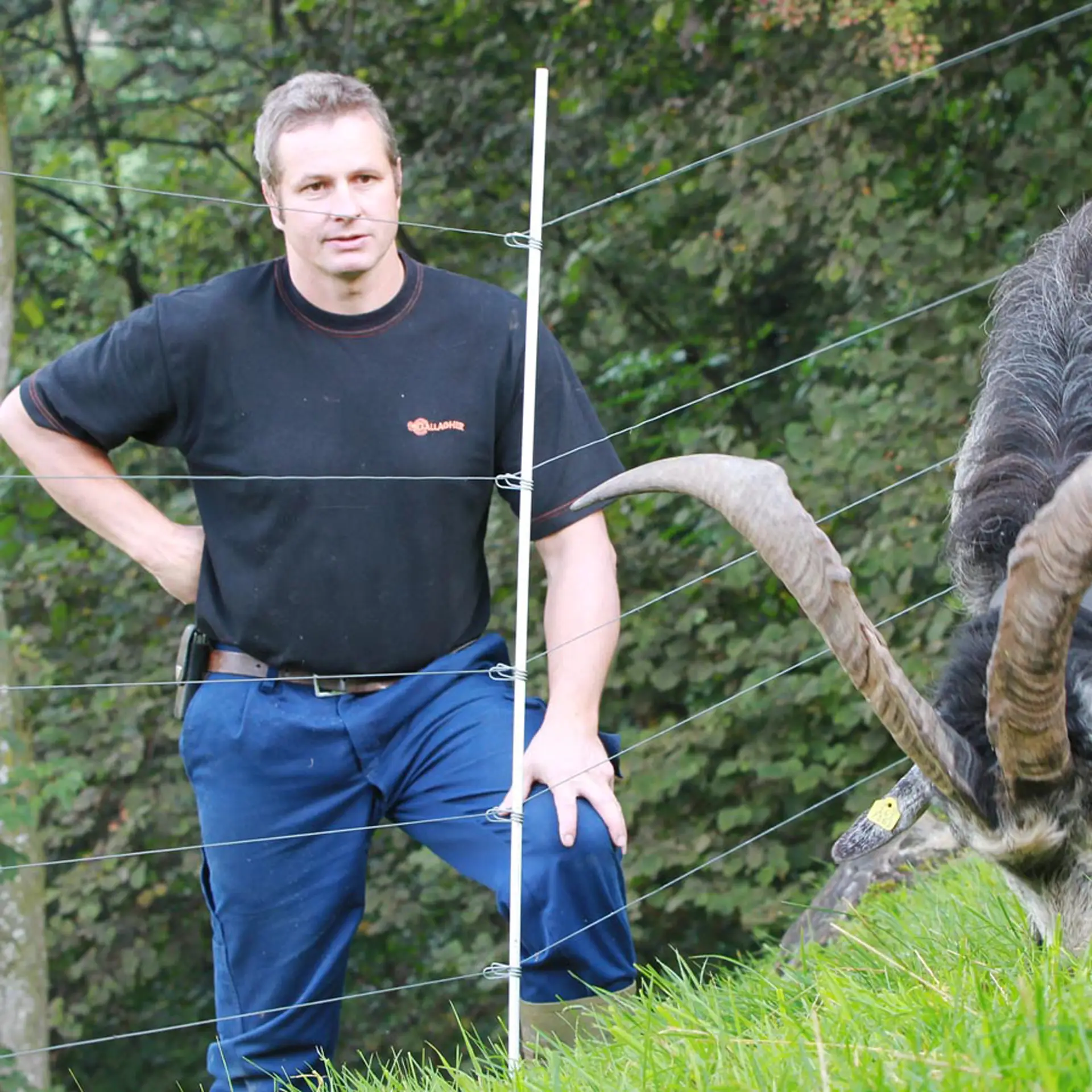 Gallagher Glasfiber Paal (ø 10mm, 1,25 meter, 50 stuks)