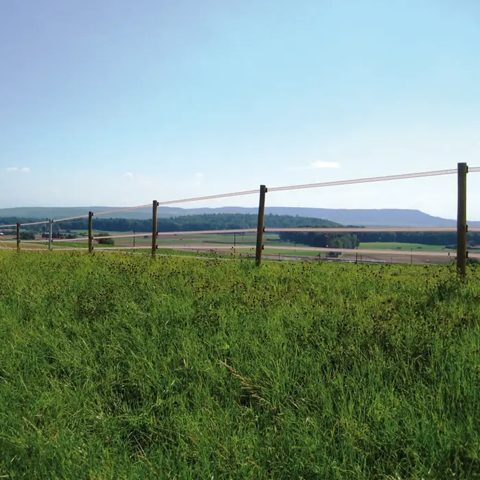 Gallagher TurboLine lint 40 mm (wit, 200 meter)