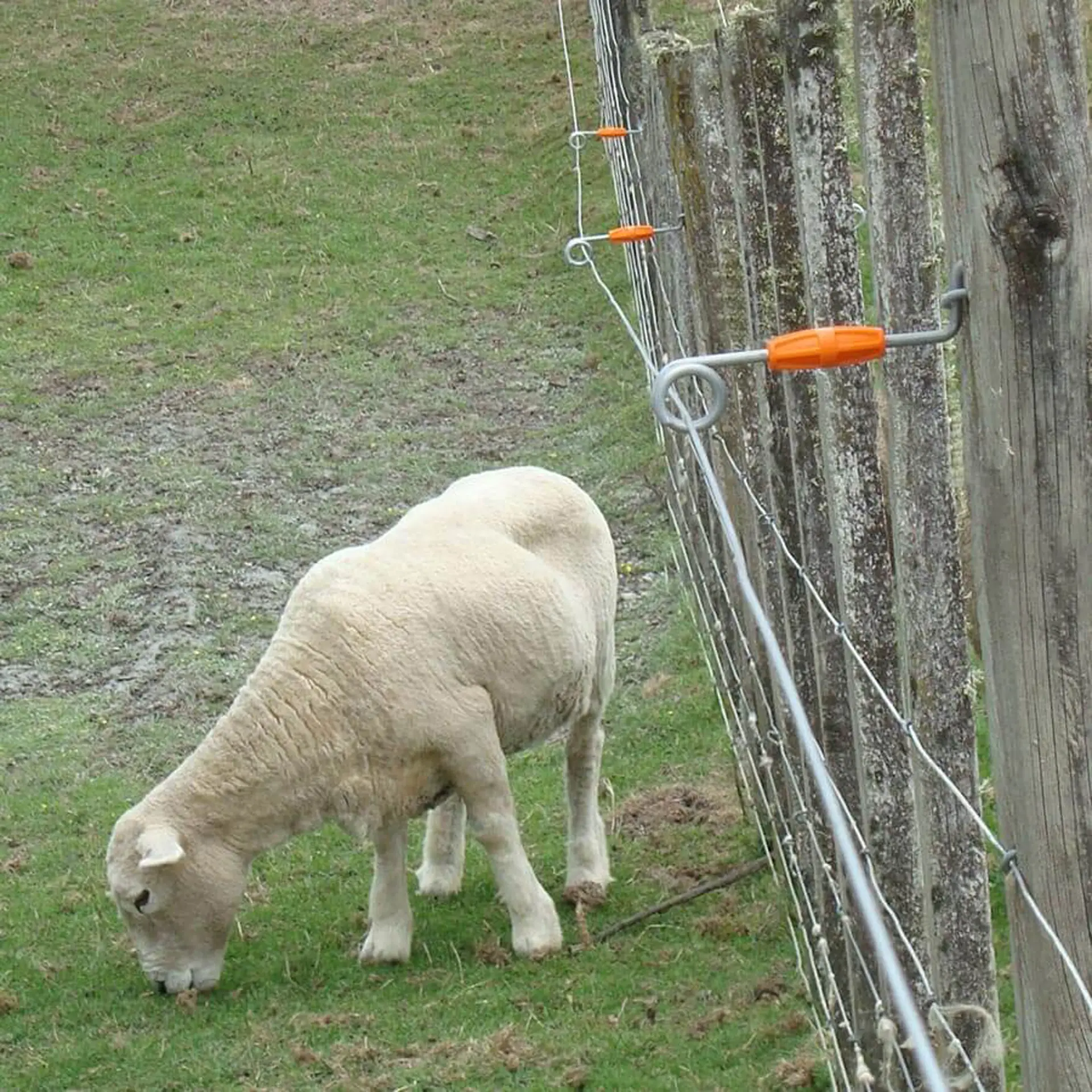 Gallagher Afstandisolator (26cm, 20 stuks)