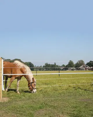 Stroomgeleidend weidehek