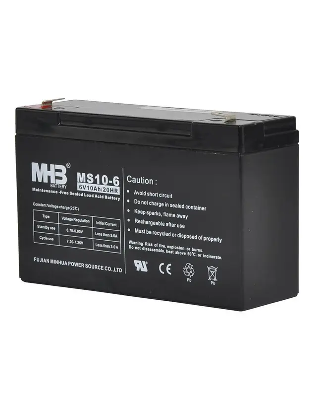 Batterij 6V 12Ah voor S40/S40LE