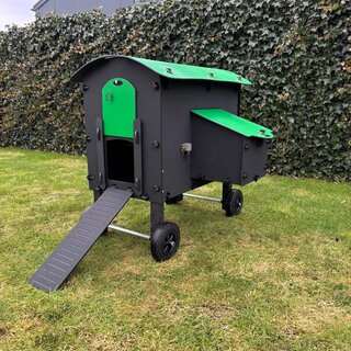 Pluverdi Wielenset kippenhok Amsterdam