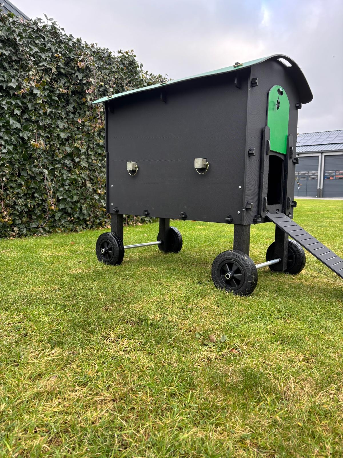 Pluverdi Wielenset kippenhok Amsterdam