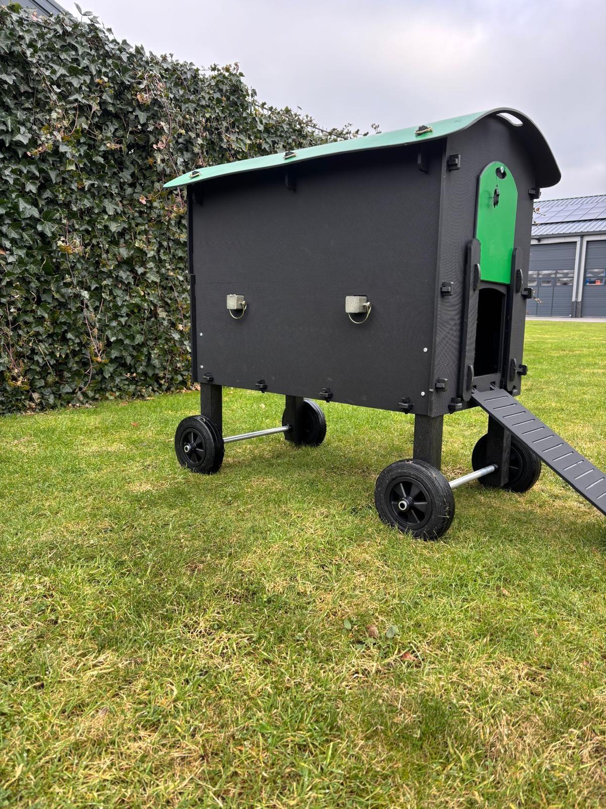 Pluverdi Wielenset kippenhok Amsterdam