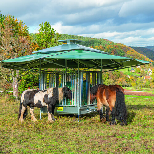 Vierkante klimaatruif