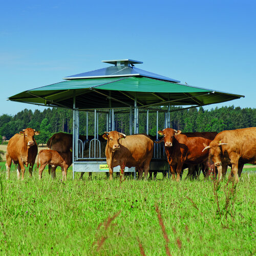 Grote balen klimaatruif