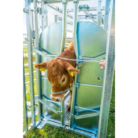 Patura Bevestigingsketting voor nekveiligheidspaal, gedraaide vorm, lengte 3,00m