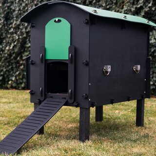 Pluverdi Pluverdi kippenhok Amsterdam (3-6 kippen)