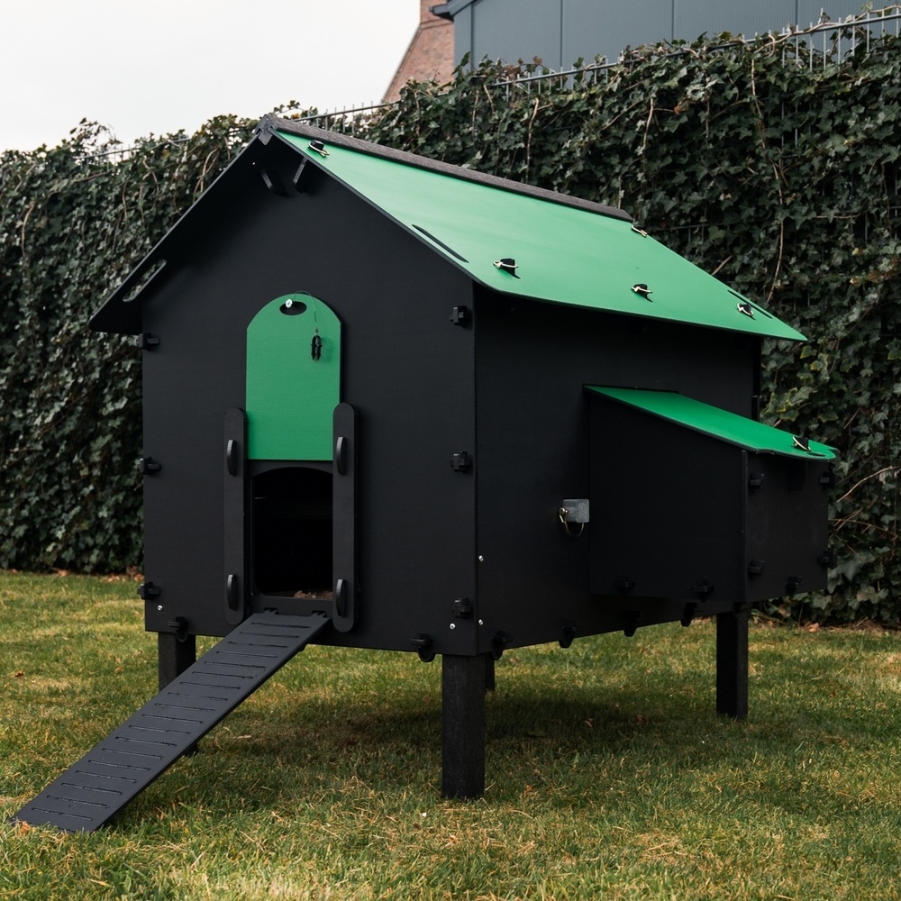 Pluverdi Pluverdi kippenhok Paris (8-16 kippen)