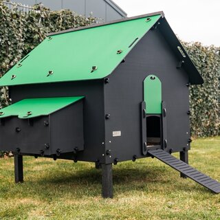 Pluverdi Pluverdi kippenhok Brussels (12-24 kippen)