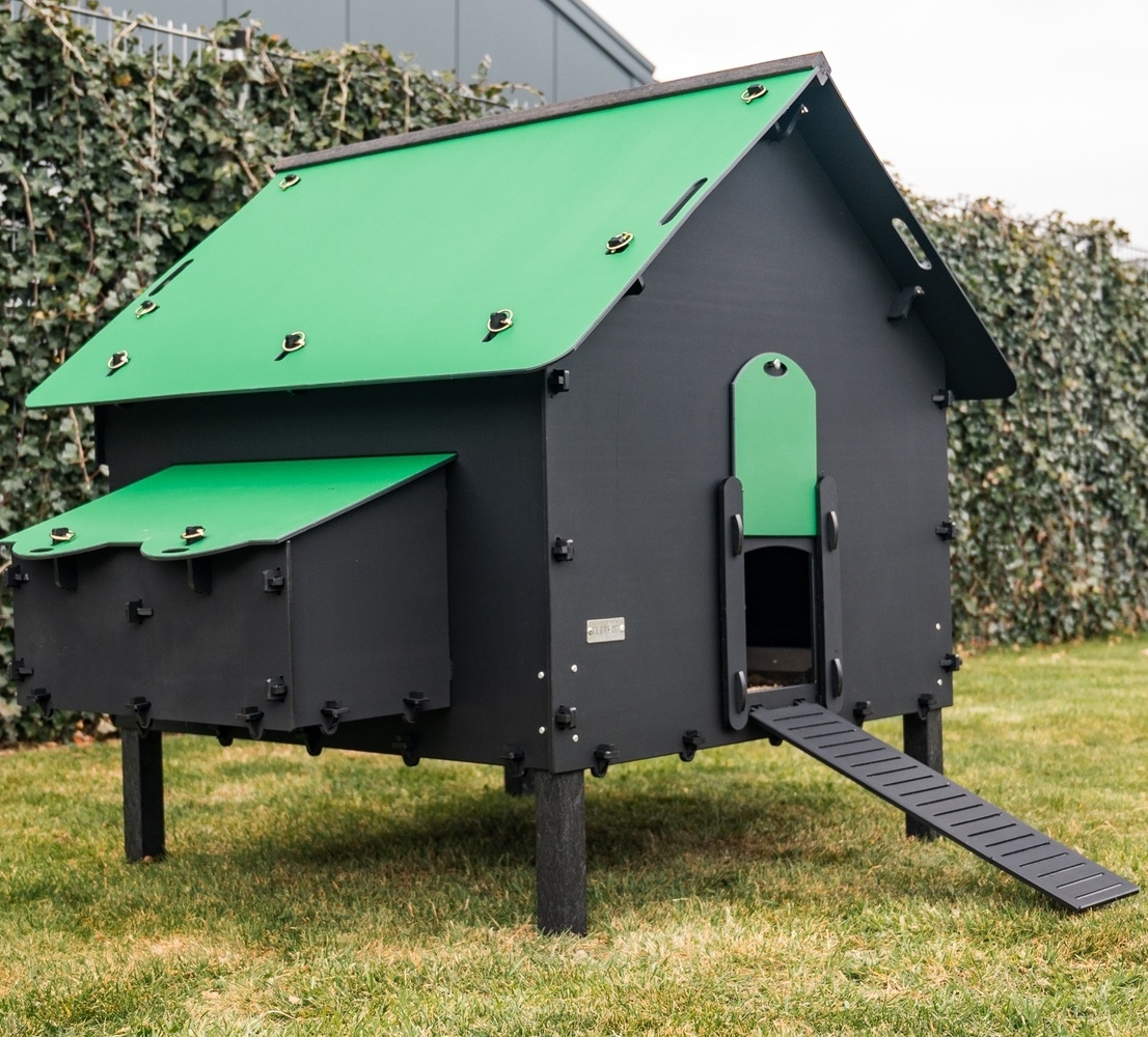 Pluverdi Pluverdi kippenhok Brussels (12-24 kippen)
