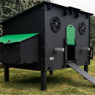 Pluverdi Pluverdi kippenhok Milan (10-20 kippen)