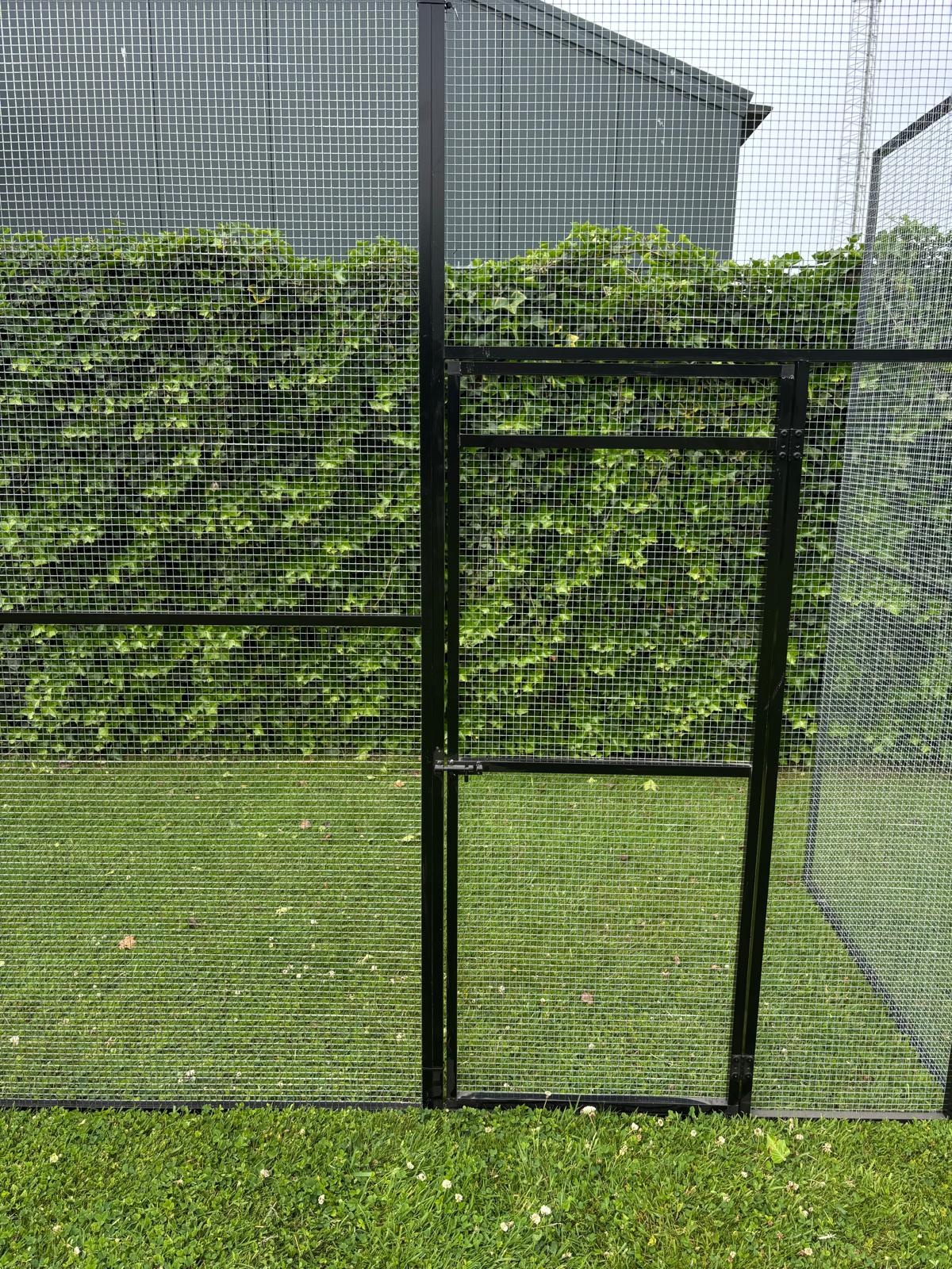 Pluverdi Kippenren aluminium zwart 300x200x200 cm.