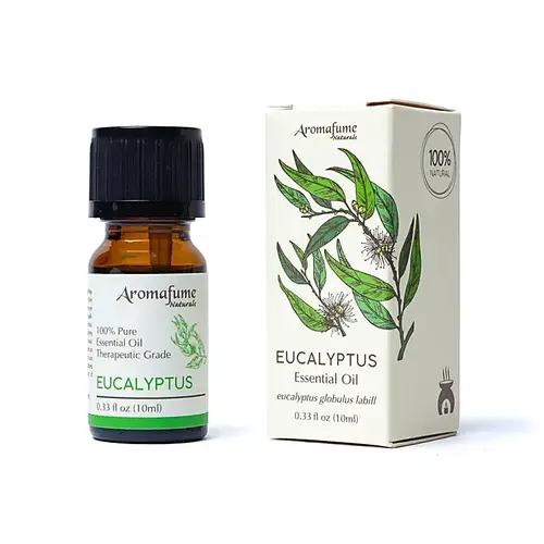 Aromafume Essentiële olie Eucalyptus