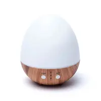 Oval white naturel USB