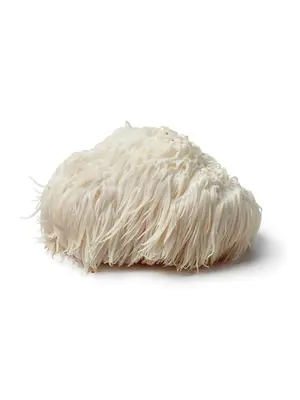 Mushrooms For Life Mushrooms For Life Lion's Mane Paddenstoelen Capsules Bio