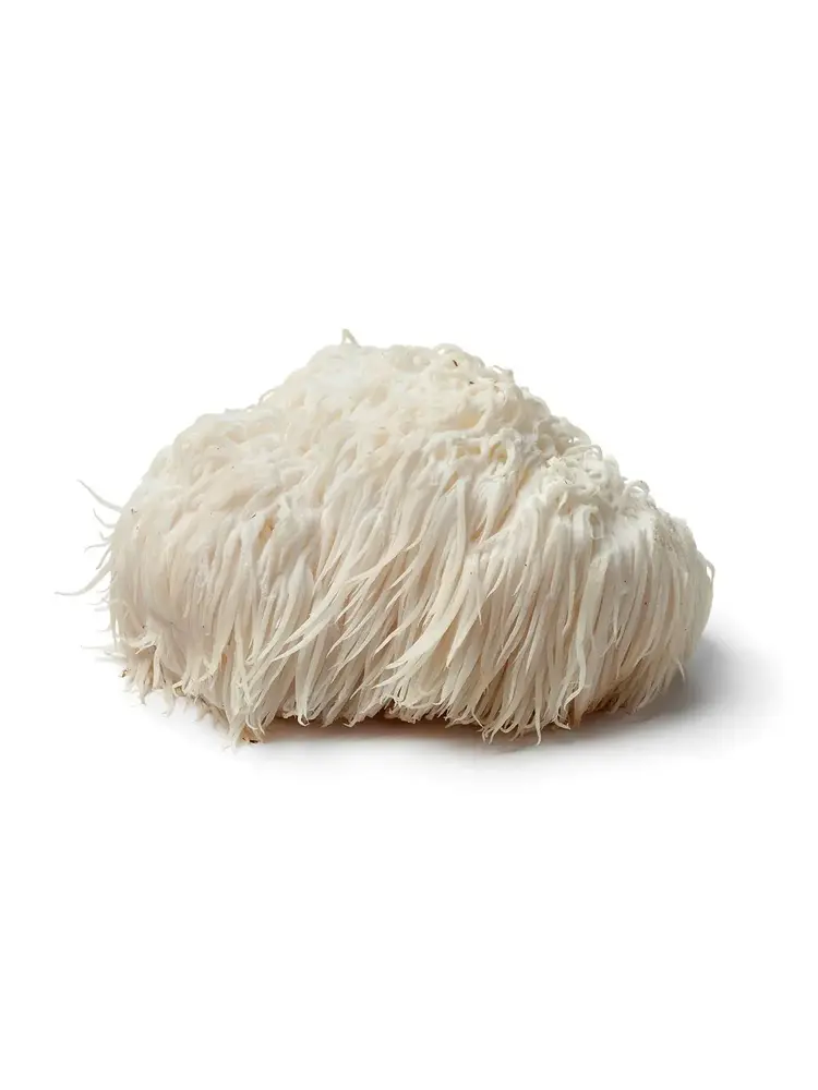 Mushrooms For Life Mushrooms For Life Lion's Mane Paddenstoelen Capsules Bio