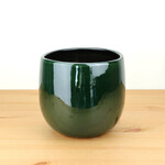 Edelman Pablo groen - Ø17