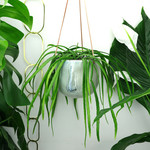 Bloomingville Ileana hangpot met neus - Ø14