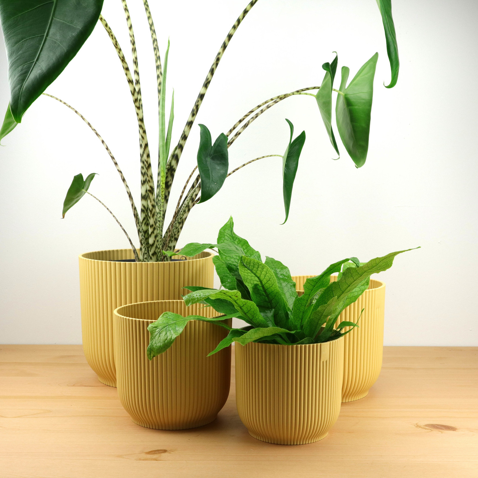 Elho Vibes geel - Ø13