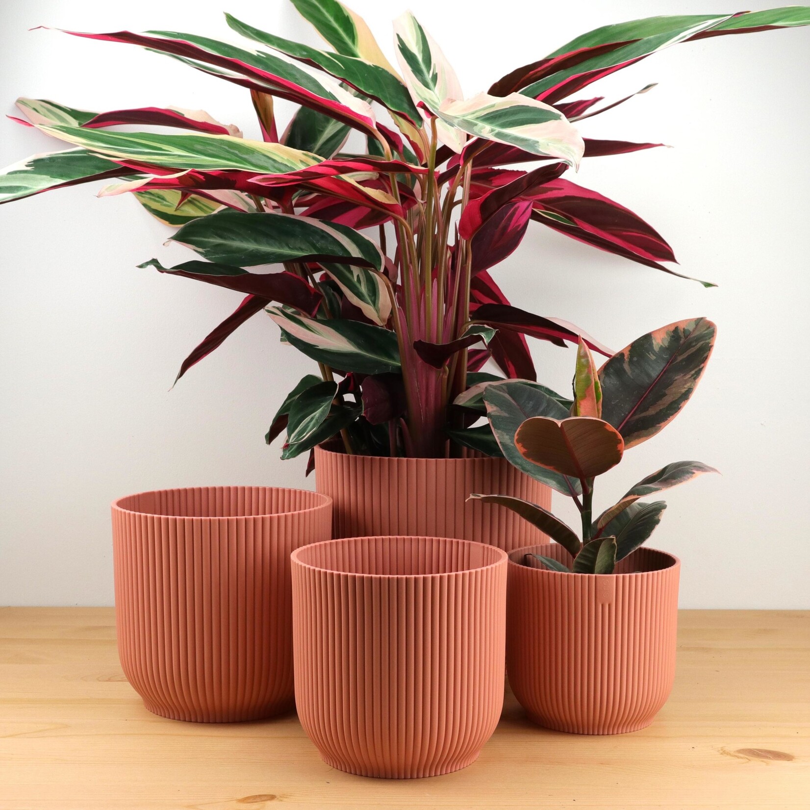 Elho Vibes roze - Ø13