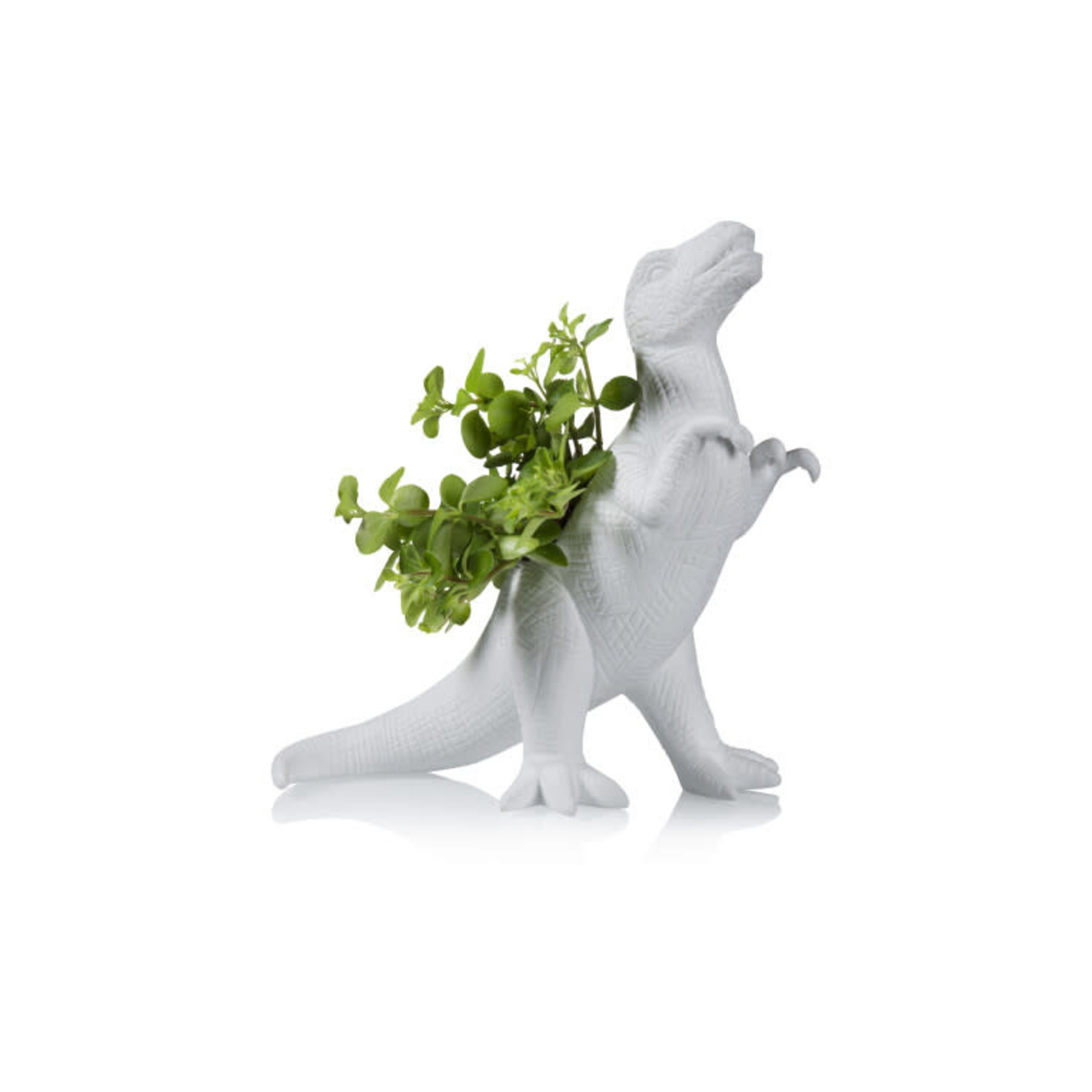 Bitten Tyrannosaurus Rex - Ø06