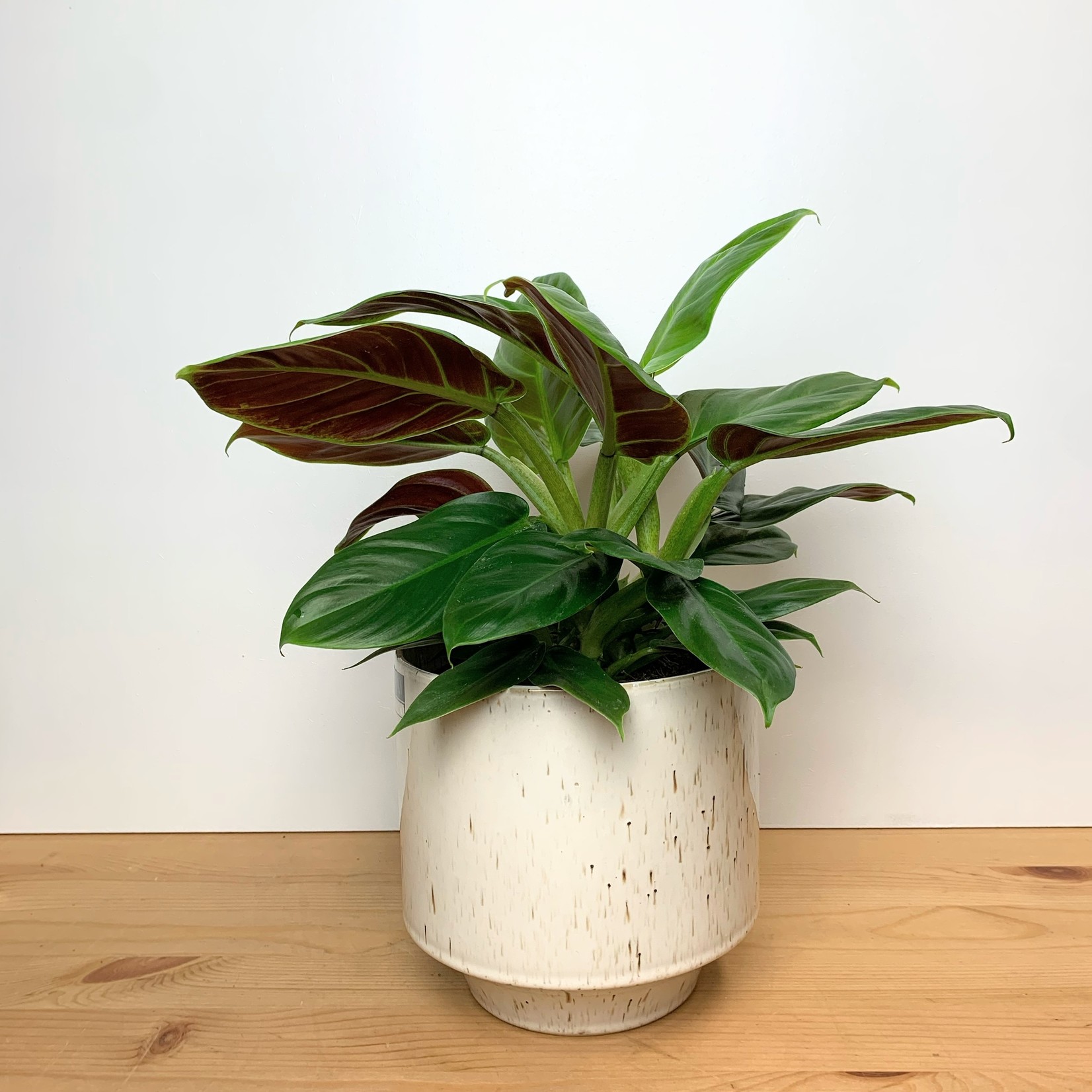 D&M Depot Java wit - Ø16