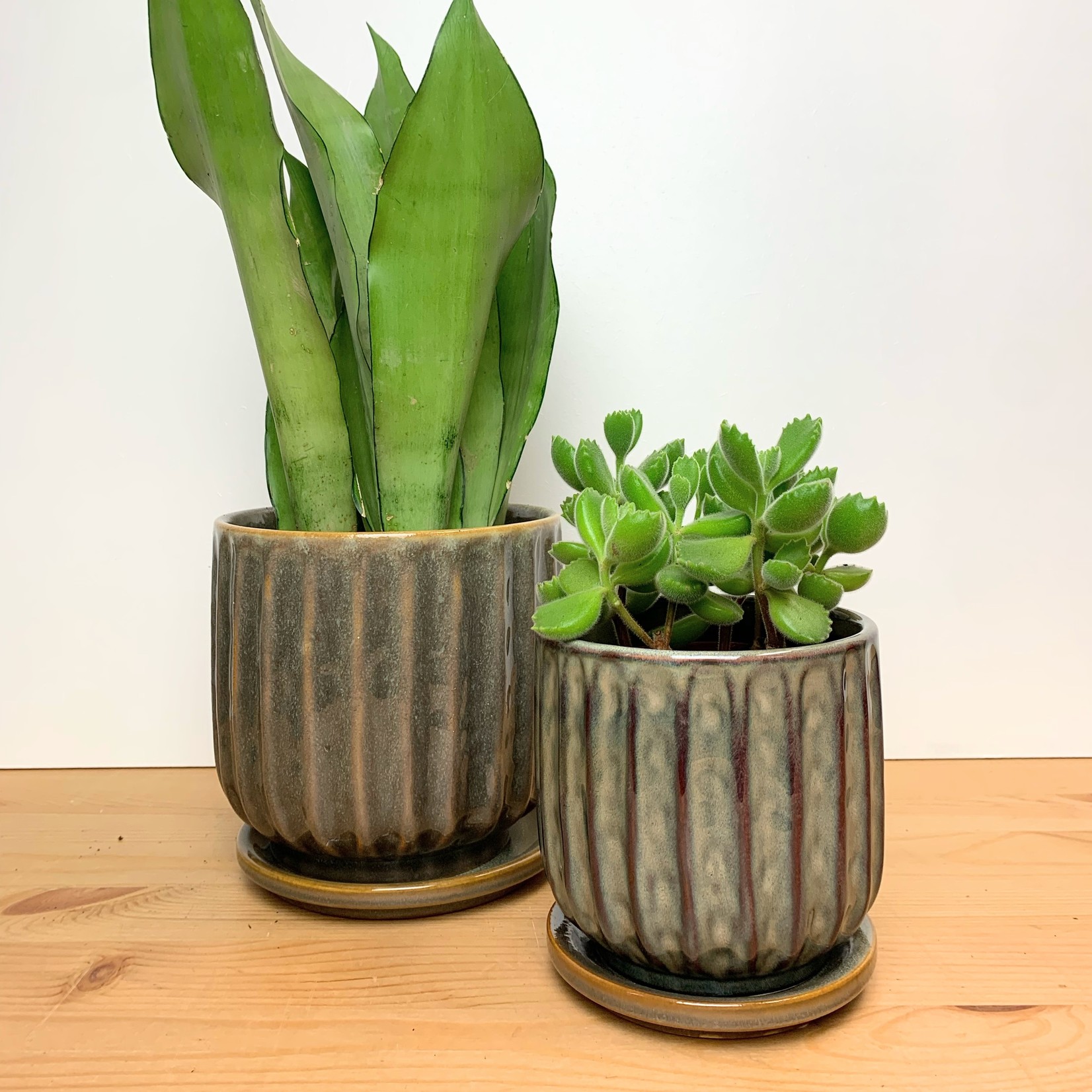 Bloomingville Drago pot met schaal - Ø14