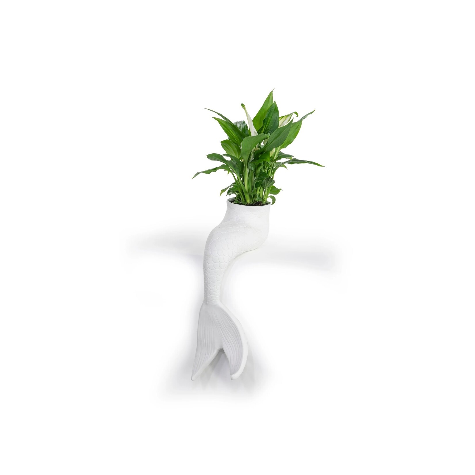 Bitten Mermaid planter - Ø06