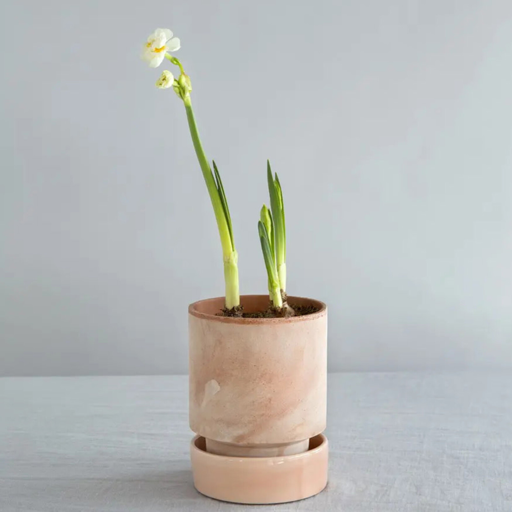 Bergs Potter Hoff pot rose - Ø07