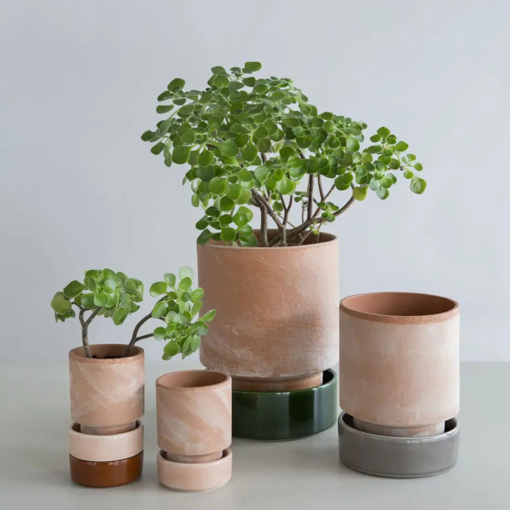 Bergs Potter Hoff pot rose - Ø07