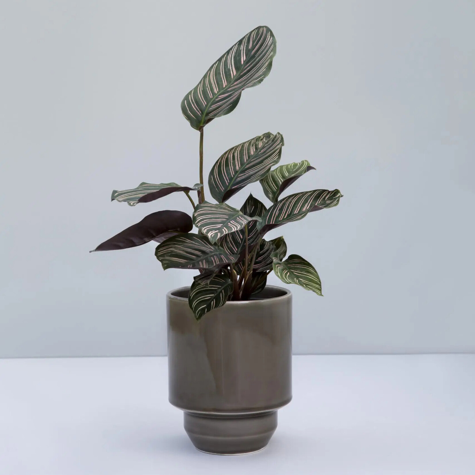 Bergs Potter Hoff pot pearl grey - Ø13